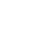 CEI Logo